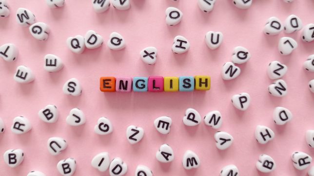 grammarvista.com usa