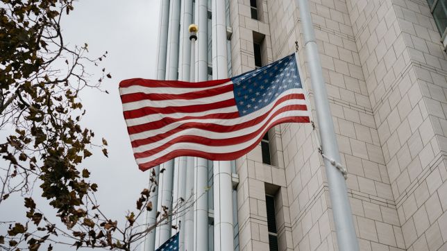 tozymagazine.com usa