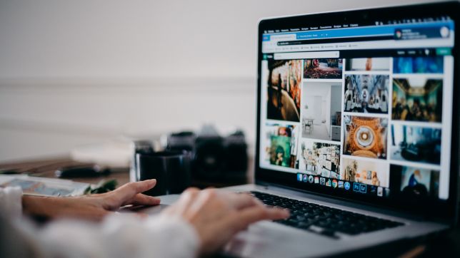 Magfusehub Com multi-niche digital content platform