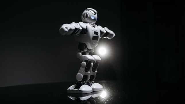Ponas Robotas