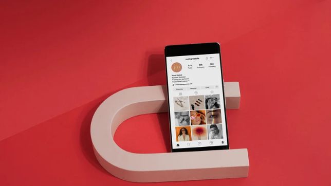 DolphinRadar Instagram tracker and OSINT analytics tool for public account activity