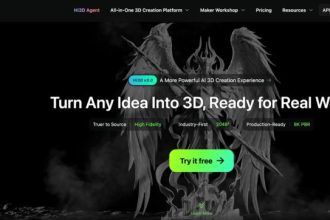 Hi3D
